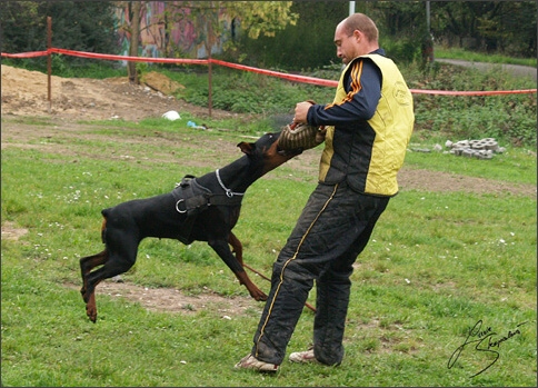 Training in Prague 10/2007